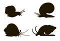 Silhouettes of four snails Royalty Free Stock Photo