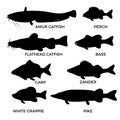 Silhouettes of freshwater fishes Royalty Free Stock Photo