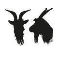 Silhouettes of goat head portrait front and side.
