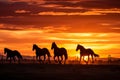 Silhouettes of graceful horses in field at dawn. Generative AI