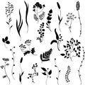 Silhouettes of grass Royalty Free Stock Photo