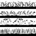Silhouettes of grass with spikelets and umbelliferous plant Royalty Free Stock Photo