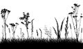 Silhouettes of grass and wild weeds, field. Plants are separated from grass. Vector illustration Royalty Free Stock Photo