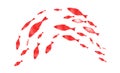 Silhouettes of groups of fishes on white