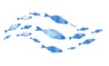 Silhouettes of groups of fishes on white