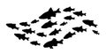 Silhouettes of groups of fishes