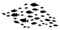 Silhouettes of groups of fishes on white