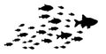 Silhouettes of groups of fishes on white