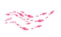 Silhouettes of groups of fishes on white