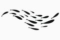 Silhouettes of groups of sea fishes. Colony of small fish. Icon with river taxers. Stylized logo. Black and white Royalty Free Stock Photo