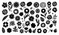 Silhouettes of hand drawn floral design elements. Royalty Free Stock Photo