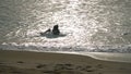 Silhouettes of a happy couple in the sea