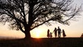 Silhouettes of happy family walking in the meadow near a big tree during sunset. Royalty Free Stock Photo