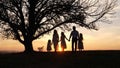 Silhouettes of happy family walking in the meadow near a big tree during sunset. Royalty Free Stock Photo