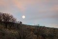 Silhouettes of happy hikers at night under full moon