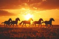 Silhouettes of herd of horses galloping across field at sunset Royalty Free Stock Photo