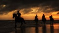 Silhouettes of the horse riders on the beach at sunset. Royalty Free Stock Photo