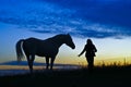 Silhouettes of the horse and the woman on a background of blue sky in the evening