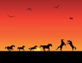 Silhouettes of horses, sunset Royalty Free Stock Photo