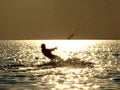 Silhouettes kitesurf on a gulf