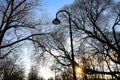 Silhouettes of leafless trees and street light and sun against blue sky on sunset in city park. Royalty Free Stock Photo