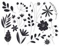 Silhouettes of leaves and flowers. Vector illustration in black color isolated on a white background. Botany plants Royalty Free Stock Photo