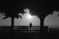 Silhouettes of a lonely girl. He stands alone and looks into the distance. Enjoys the moment. Palm trees and a bench. Sea view Royalty Free Stock Photo