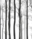 Silhouettes of long individual twigs Royalty Free Stock Photo