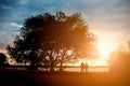 Silhouettes of a loving couple, beautiful sunset on a lake