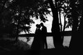 Silhouettes of a loving couple at sunset in nature Royalty Free Stock Photo