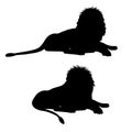 Silhouettes of a lying lion