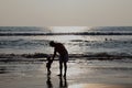 Silhouettes of man and kids play in the waves in the Bekal beach