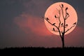 Silhouettes of many crows perched on a treeless tree.