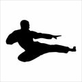 silhouettes of the martial arts karate, silat, muay thai, wingchun and other martial arts