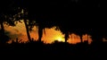 Silhouettes of motorcyclists against the light at sunset Royalty Free Stock Photo