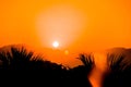 Silhouettes of mountains against the background of sunset, solar eclipse, palm leaves, fire in the city of eilat in israel