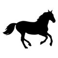 The black horse silhouette on white background Royalty Free Stock Photo