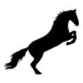 The black horse silhouette on white background Royalty Free Stock Photo