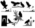 Silhouettes of owls and eagle-owls birds in wildlife and outdoors Royalty Free Stock Photo