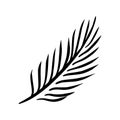 Silhouettes of palm leaves isolated on white background. vector EPS10 Royalty Free Stock Photo