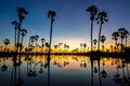 Silhouettes Palm tree , landscape thailand Royalty Free Stock Photo