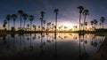 Silhouettes Palm tree , landscape thailand Royalty Free Stock Photo