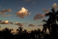 Silhouettes of palm trees against the sky and the sea at sunset or dawn. Caribs Royalty Free Stock Photo