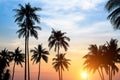 Silhouettes of palm trees against the sky during a tropical sunset. Nature. Royalty Free Stock Photo