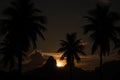 Silhouettes of palm trees during an amazing sunset over Dois Irmaos in Rio de Janeiro Brazil