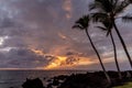 Silhouettes of palm trees on a beach of Big Island during golden hour. Royalty Free Stock Photo