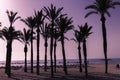 Silhouettes of palm trees on the beach at sunset. Tropical evening landscape in a fantastic tint Royalty Free Stock Photo