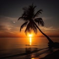 silhouettes of palm trees in a beautiful beach at sunset, sunrise in a caribbean island vacation concept, generative AI