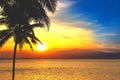 Silhouettes of palm trees and beautiful sea during sunset in Thailand, Phuket. Royalty Free Stock Photo