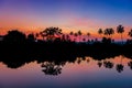 Silhouettes of palm trees at dawn near a lake. Royalty Free Stock Photo